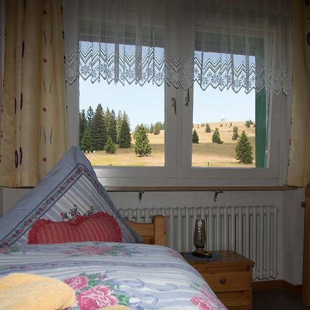 Berggasthof-Pension Todtnauer Hutte 费尔德伯格 外观 照片