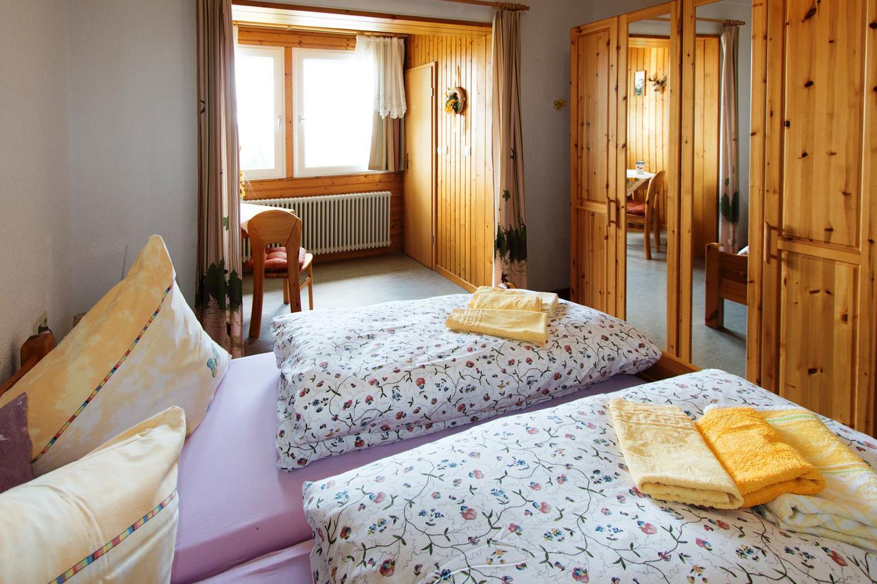 Berggasthof-Pension Todtnauer Hutte 费尔德伯格 外观 照片