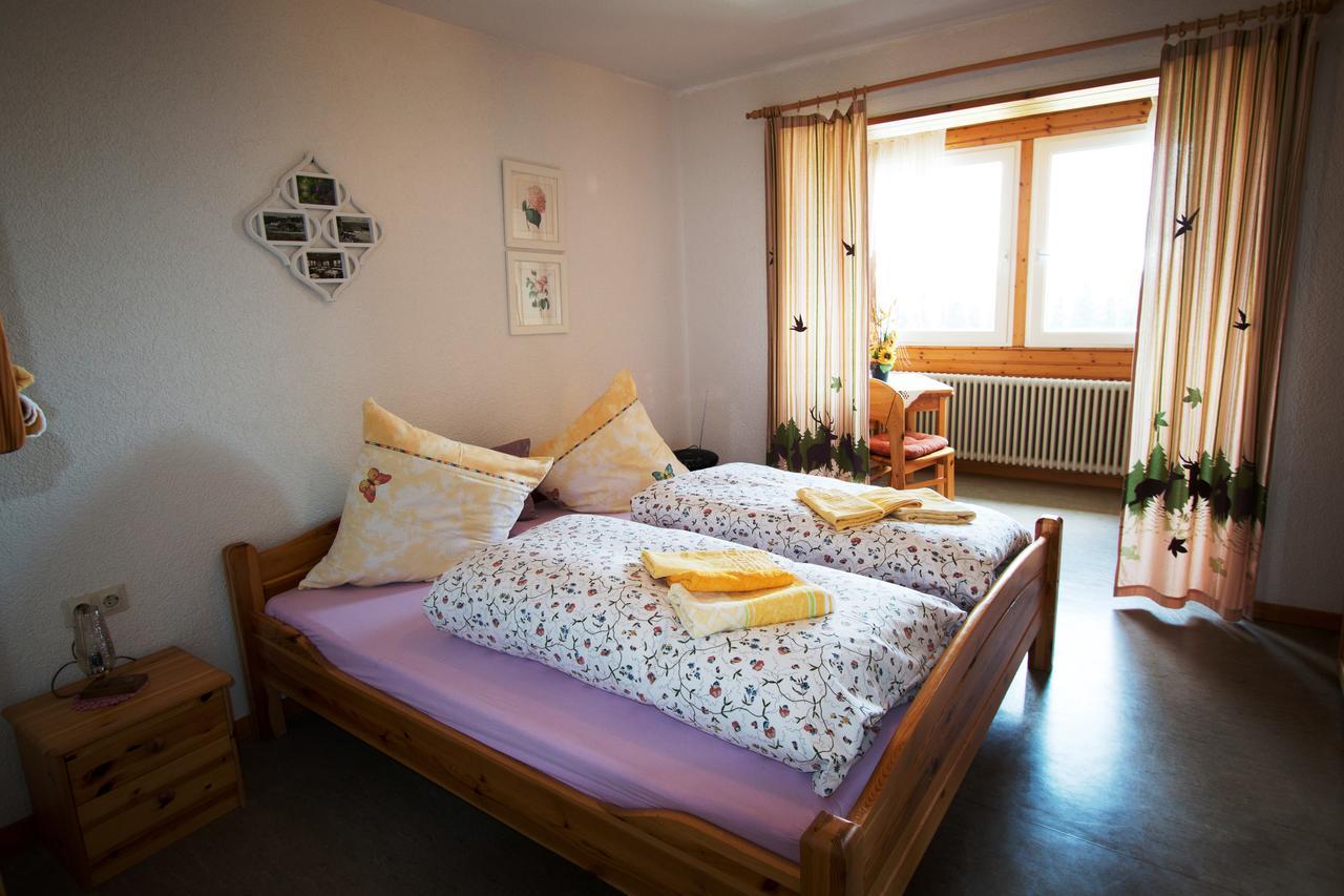 Berggasthof-Pension Todtnauer Hutte 费尔德伯格 外观 照片