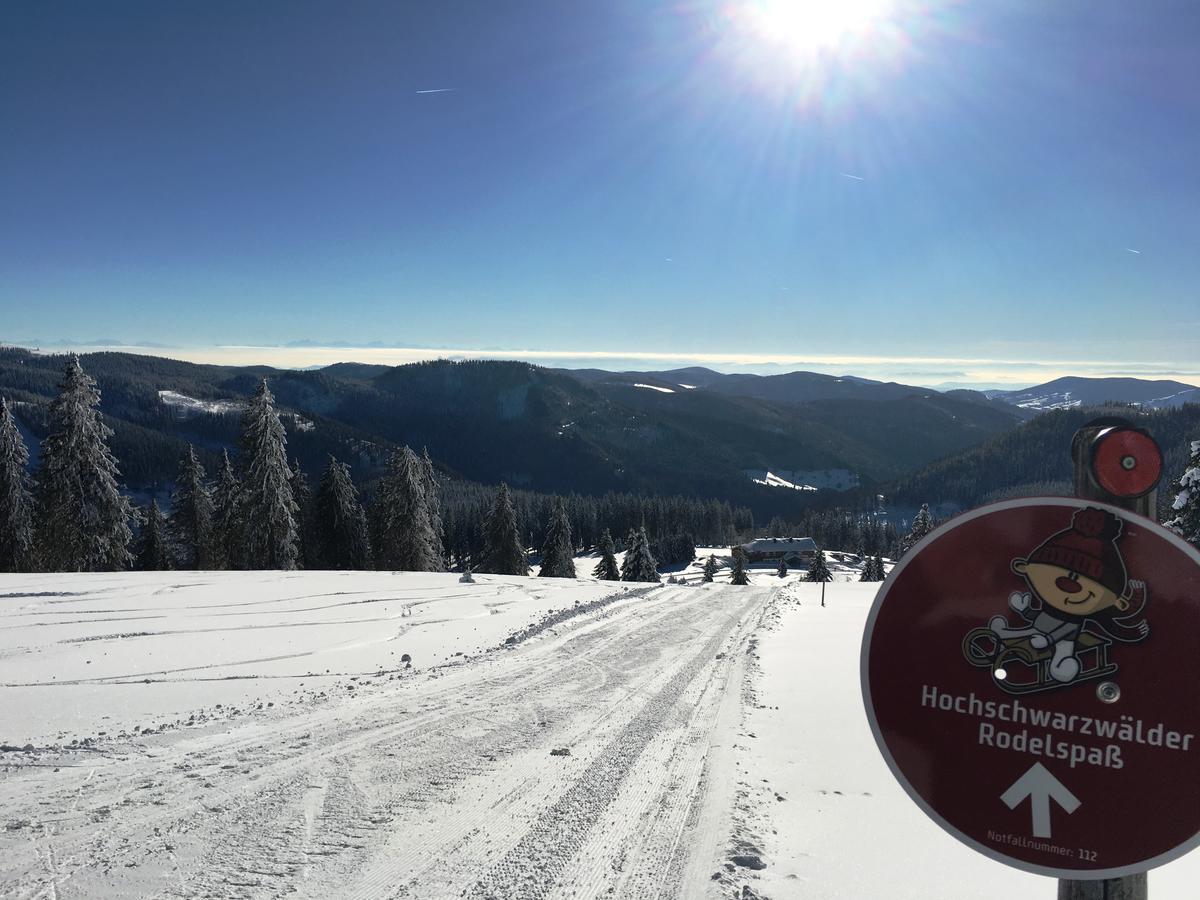 Berggasthof-Pension Todtnauer Hutte 费尔德伯格 外观 照片