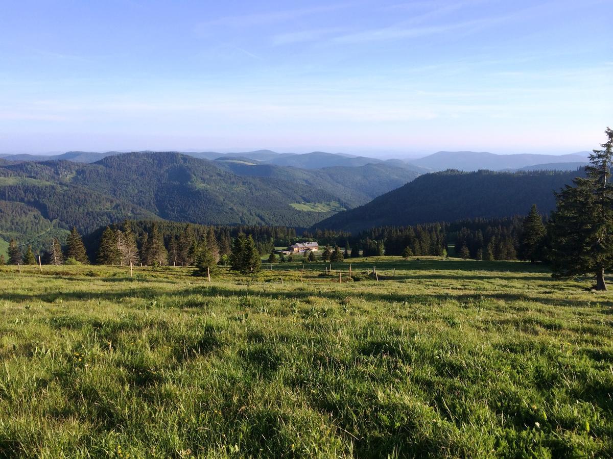 Berggasthof-Pension Todtnauer Hutte 费尔德伯格 外观 照片
