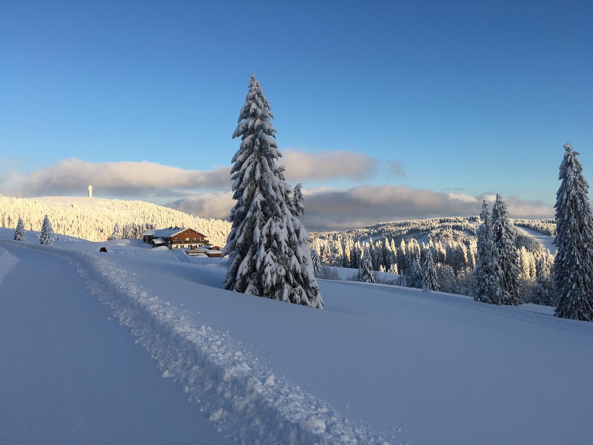 Berggasthof-Pension Todtnauer Hutte 费尔德伯格 外观 照片
