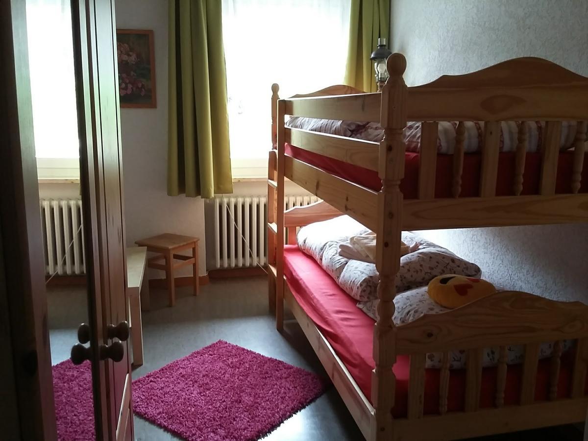 Berggasthof-Pension Todtnauer Hutte 费尔德伯格 外观 照片