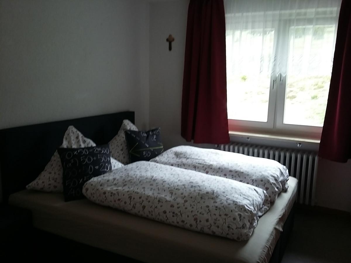Berggasthof-Pension Todtnauer Hutte 费尔德伯格 外观 照片