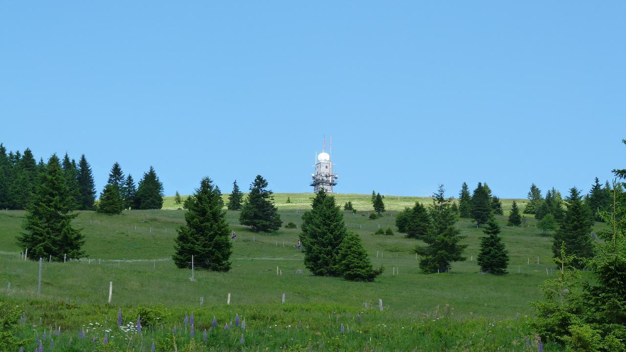 Berggasthof-Pension Todtnauer Hutte 费尔德伯格 外观 照片