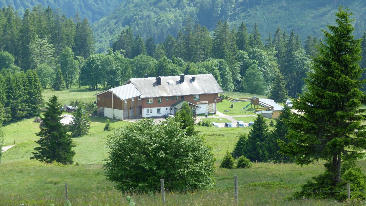 Berggasthof-Pension Todtnauer Hutte 费尔德伯格 外观 照片