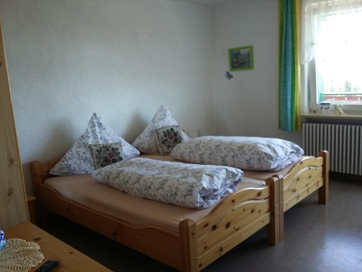 Berggasthof-Pension Todtnauer Hutte 费尔德伯格 外观 照片