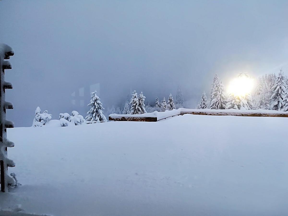 Berggasthof-Pension Todtnauer Hutte 费尔德伯格 外观 照片